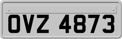 OVZ4873