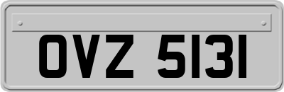 OVZ5131