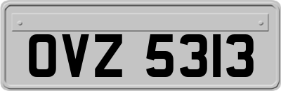 OVZ5313