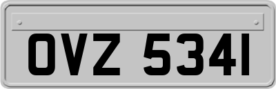 OVZ5341