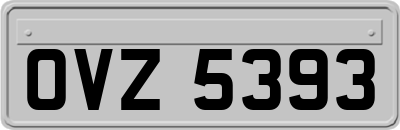 OVZ5393