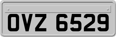 OVZ6529