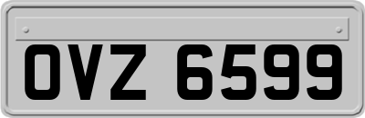 OVZ6599