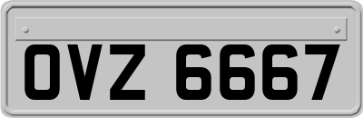 OVZ6667
