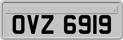 OVZ6919