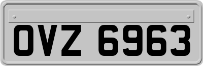 OVZ6963