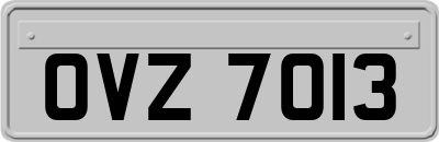 OVZ7013
