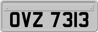 OVZ7313