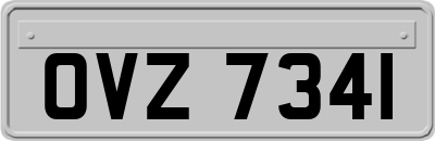 OVZ7341