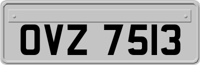 OVZ7513