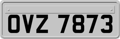 OVZ7873