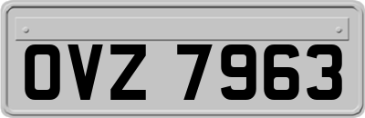 OVZ7963