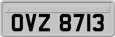 OVZ8713