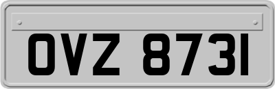 OVZ8731