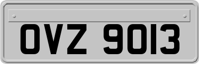 OVZ9013