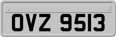 OVZ9513