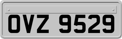 OVZ9529