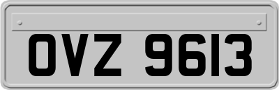 OVZ9613