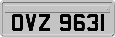 OVZ9631