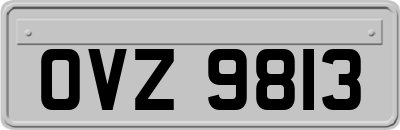 OVZ9813