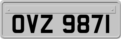 OVZ9871
