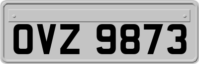 OVZ9873