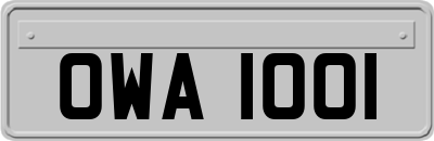 OWA1001
