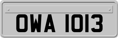 OWA1013