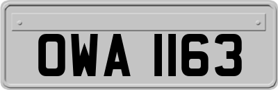 OWA1163