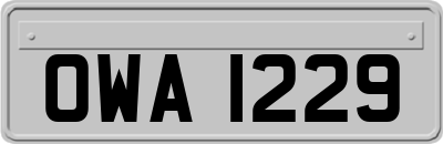 OWA1229