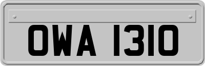 OWA1310