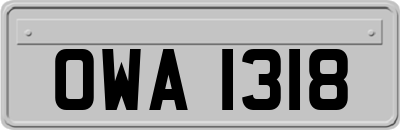 OWA1318