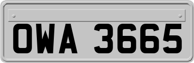 OWA3665
