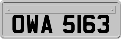 OWA5163
