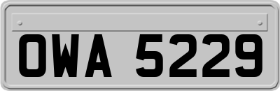 OWA5229