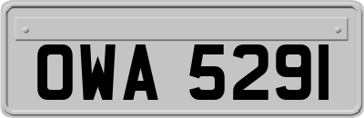 OWA5291