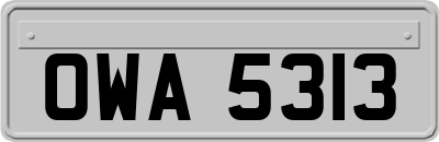 OWA5313