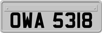 OWA5318