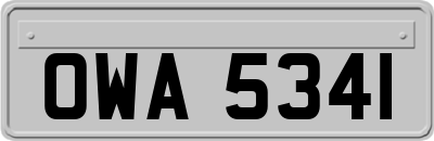 OWA5341