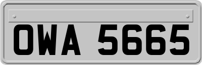 OWA5665