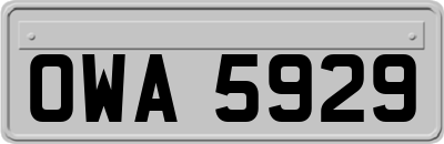OWA5929