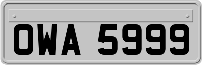 OWA5999