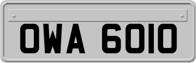 OWA6010