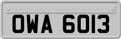 OWA6013