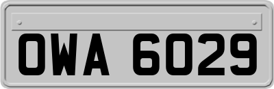 OWA6029