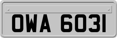 OWA6031