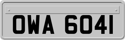 OWA6041