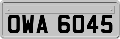 OWA6045