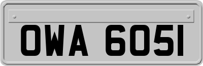 OWA6051