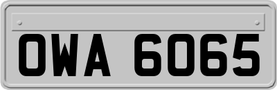 OWA6065